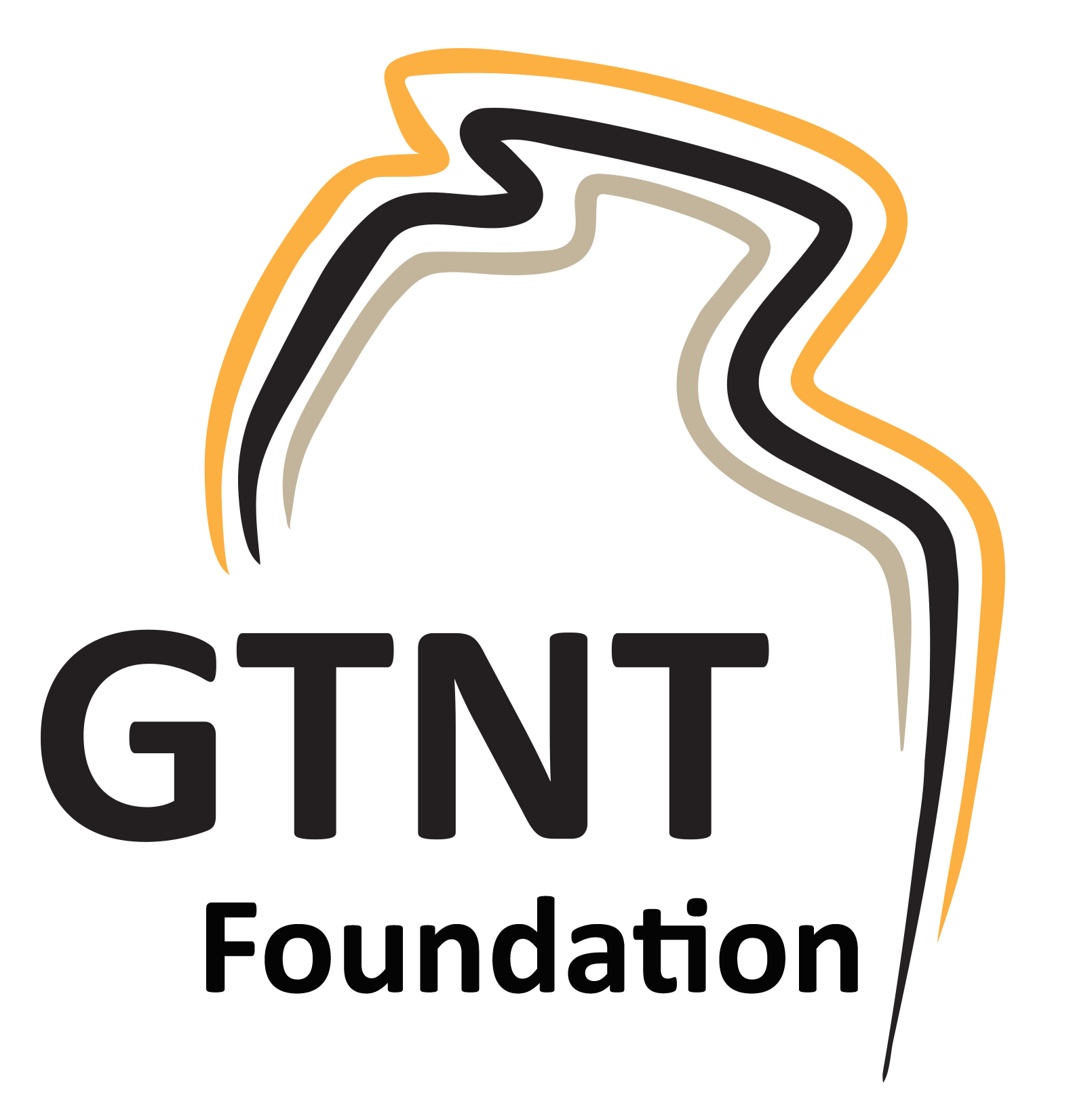 GTNT Foundation